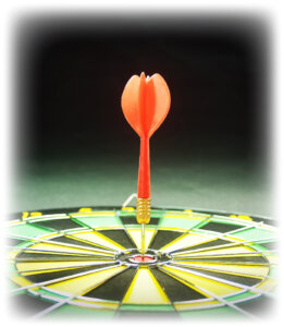 dart-on-bullseye-proposal-development-40