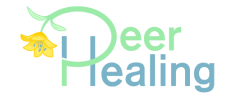 2_Peer Healing