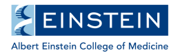 3_Albert Einstein College of Medicine