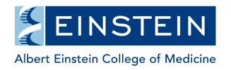 3_Albert Einstein College of Medicine